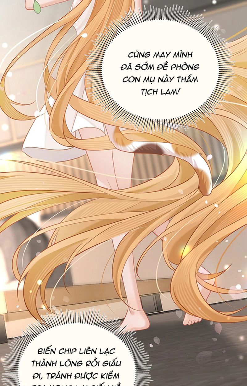 Thưa Ngài, Đuôi Của Ngài Không Giấu Được Nữa Rồi Chapter 3 - Trang 2