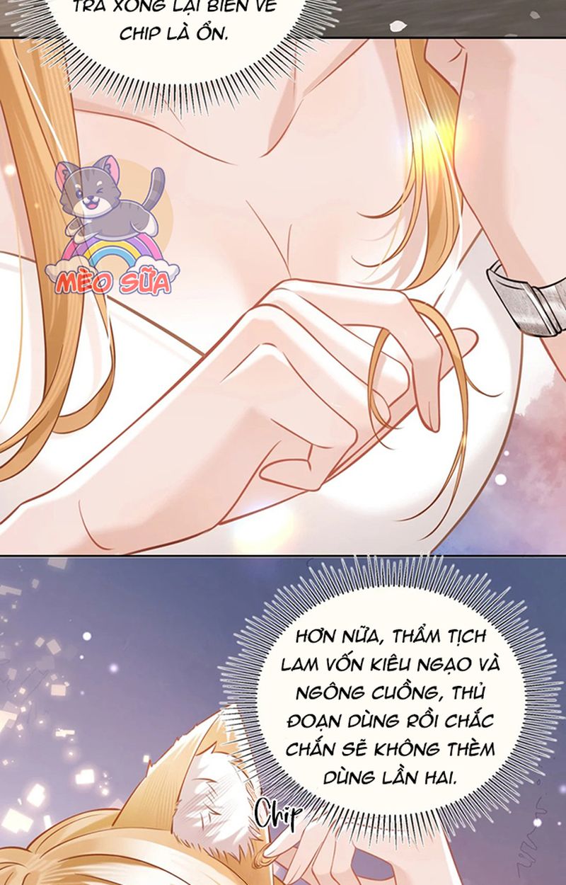 Thưa Ngài, Đuôi Của Ngài Không Giấu Được Nữa Rồi Chapter 3 - Trang 2