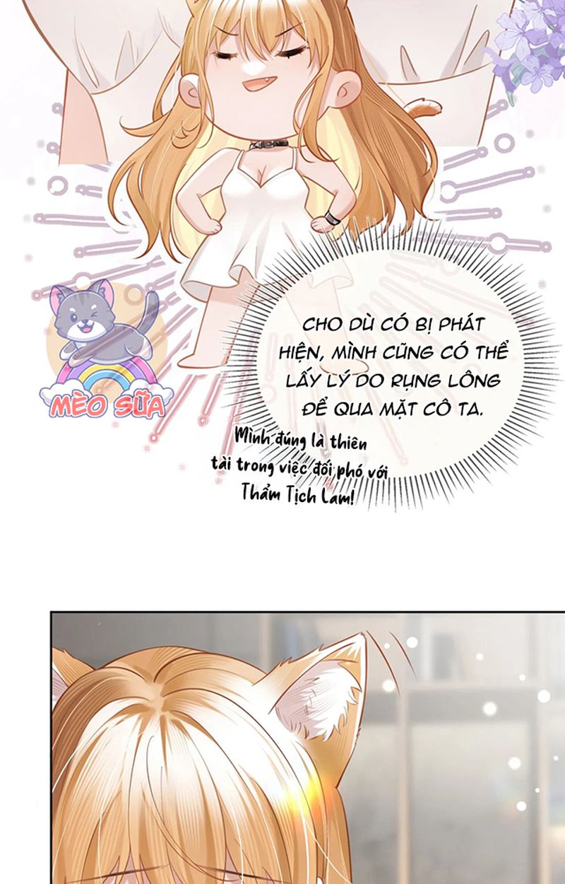 Thưa Ngài, Đuôi Của Ngài Không Giấu Được Nữa Rồi Chapter 3 - Trang 2