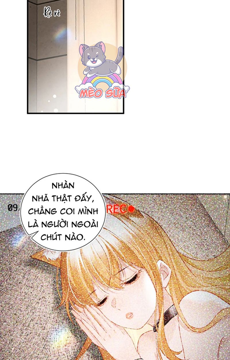 Thưa Ngài, Đuôi Của Ngài Không Giấu Được Nữa Rồi Chapter 3 - Trang 2