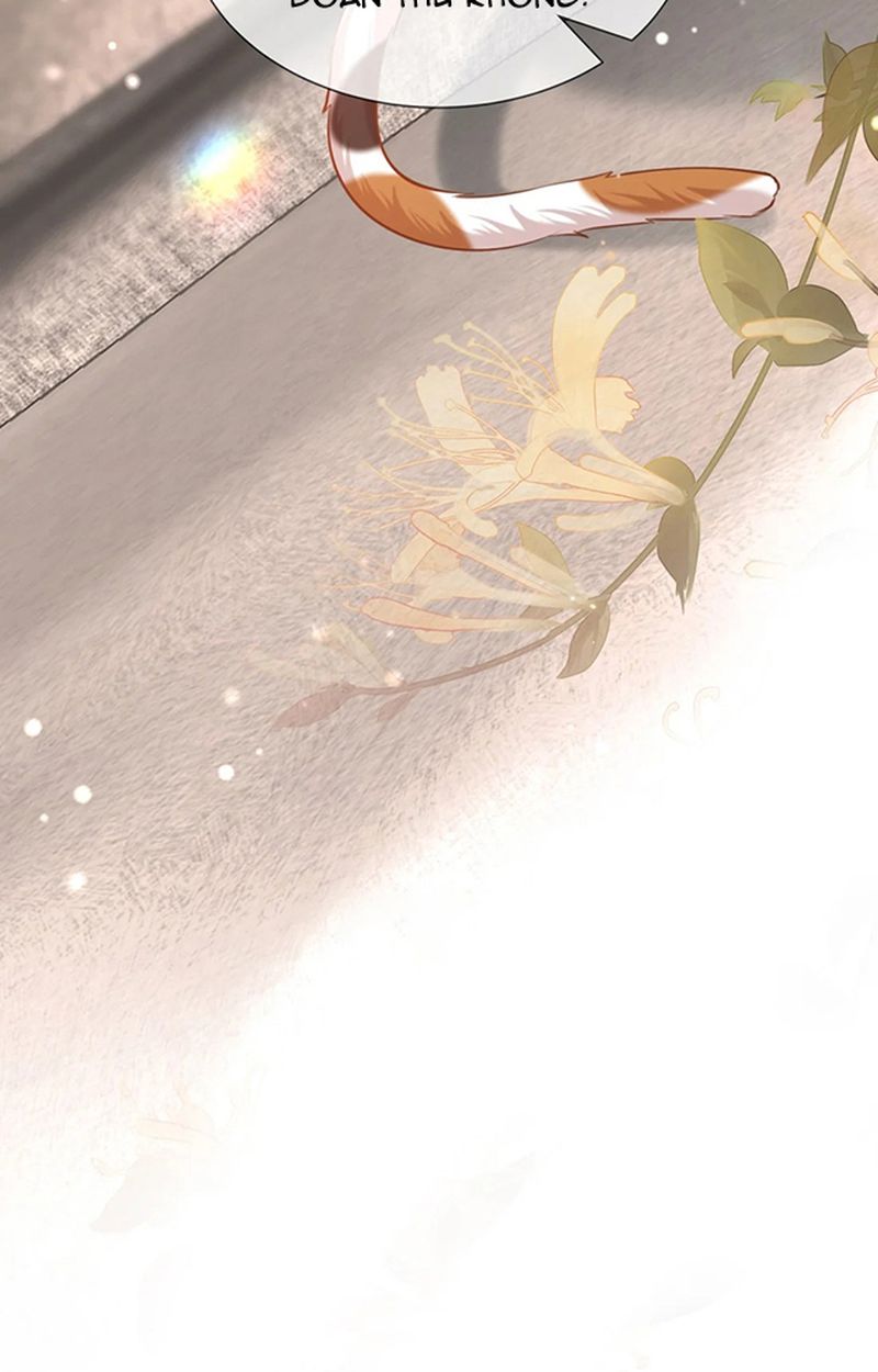 Thưa Ngài, Đuôi Của Ngài Không Giấu Được Nữa Rồi Chapter 3 - Trang 2