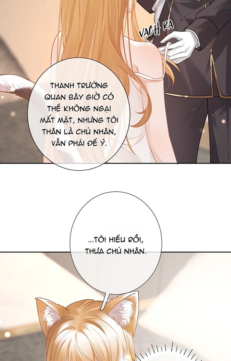 Thưa Ngài, Đuôi Của Ngài Không Giấu Được Nữa Rồi Chapter 4 - Trang 2