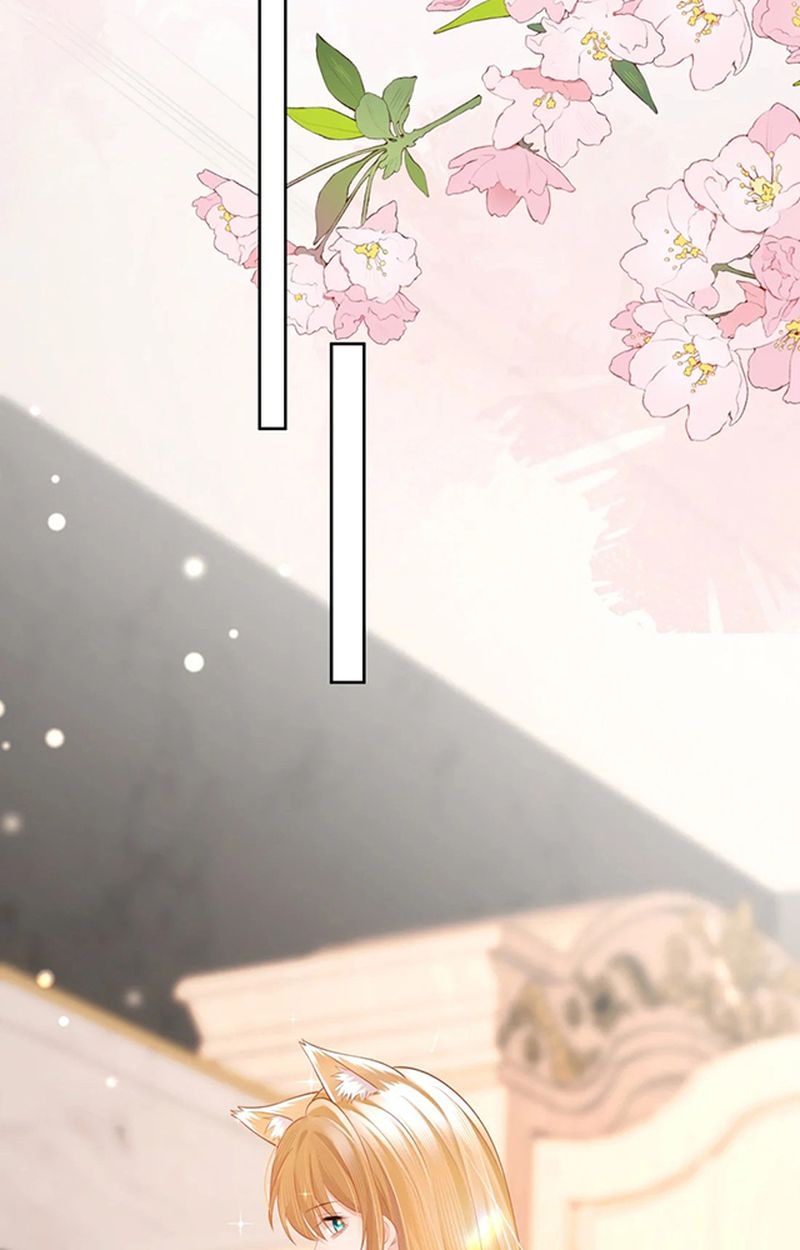 Thưa Ngài, Đuôi Của Ngài Không Giấu Được Nữa Rồi Chapter 4 - Trang 2