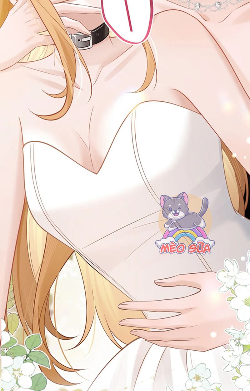 Thưa Ngài, Đuôi Của Ngài Không Giấu Được Nữa Rồi Chapter 4 - Trang 2