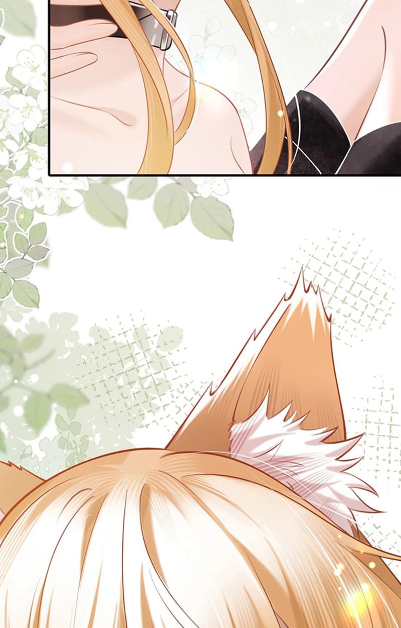 Thưa Ngài, Đuôi Của Ngài Không Giấu Được Nữa Rồi Chapter 4 - Trang 2