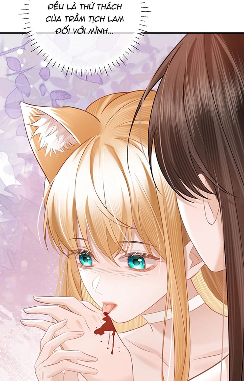 Thưa Ngài, Đuôi Của Ngài Không Giấu Được Nữa Rồi Chapter 4 - Trang 2