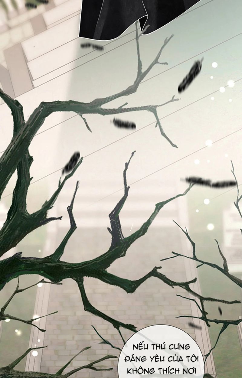 Thưa Ngài, Đuôi Của Ngài Không Giấu Được Nữa Rồi Chapter 6 - Trang 2