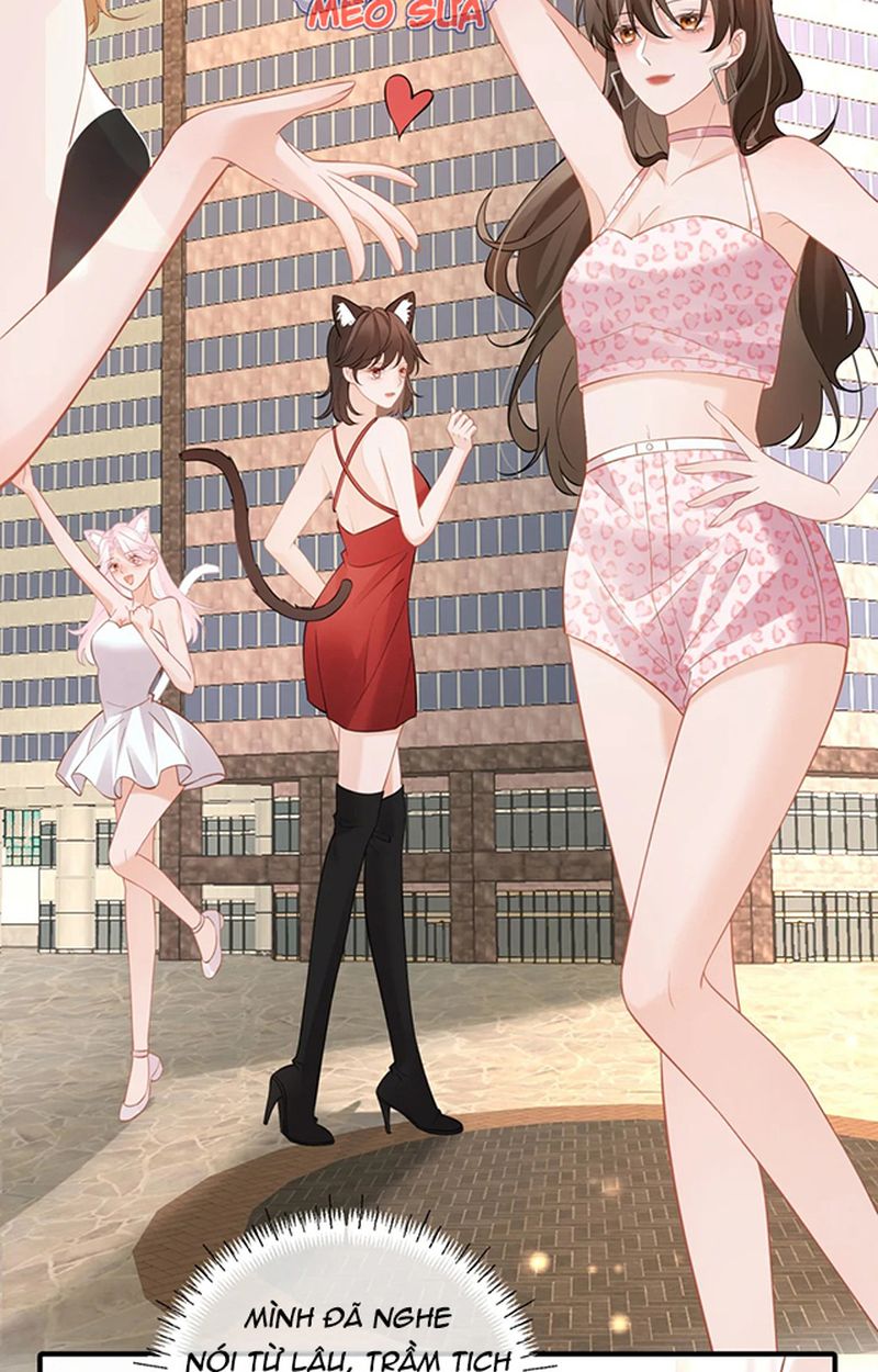 Thưa Ngài, Đuôi Của Ngài Không Giấu Được Nữa Rồi Chapter 6 - Trang 2