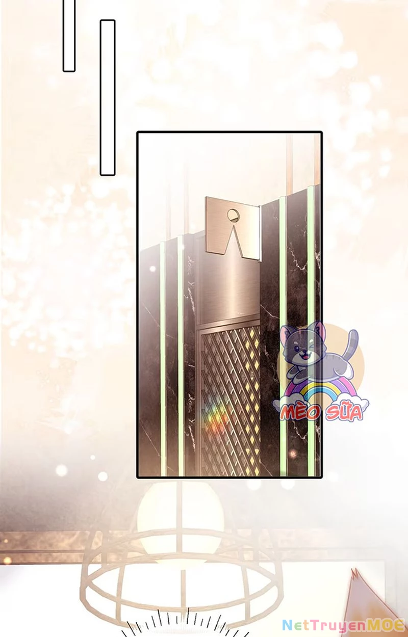 Thưa Ngài, Đuôi Của Ngài Không Giấu Được Nữa Rồi Chapter 7 - Trang 2