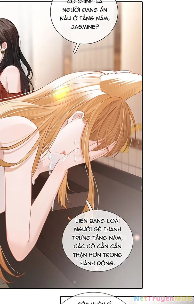 Thưa Ngài, Đuôi Của Ngài Không Giấu Được Nữa Rồi Chapter 7 - Trang 2