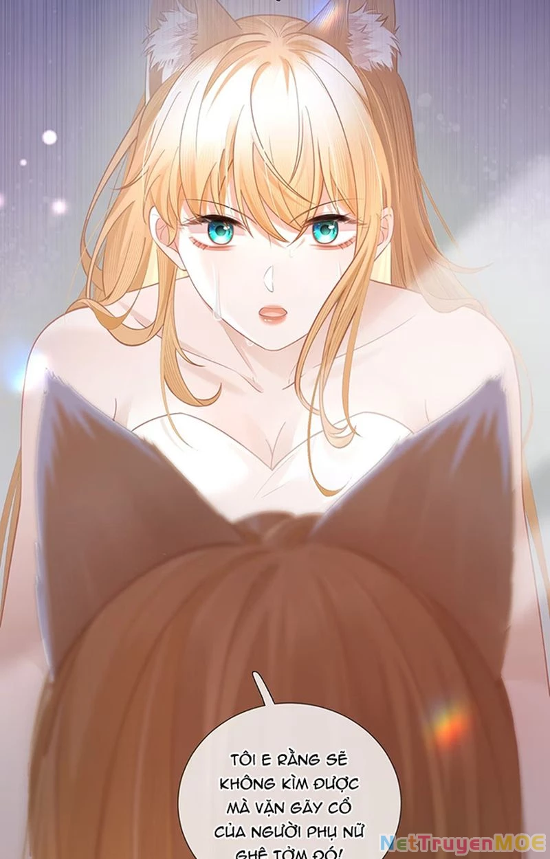 Thưa Ngài, Đuôi Của Ngài Không Giấu Được Nữa Rồi Chapter 7 - Trang 2