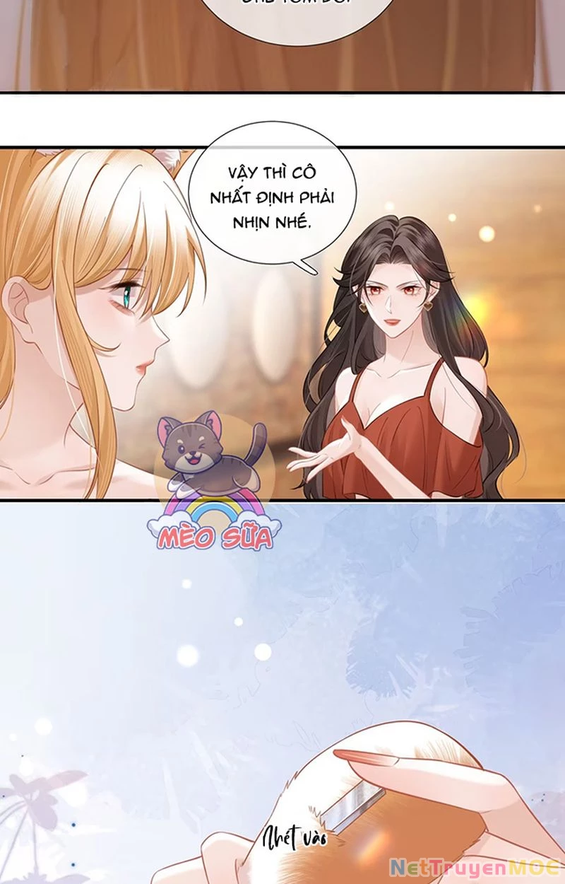 Thưa Ngài, Đuôi Của Ngài Không Giấu Được Nữa Rồi Chapter 7 - Trang 2