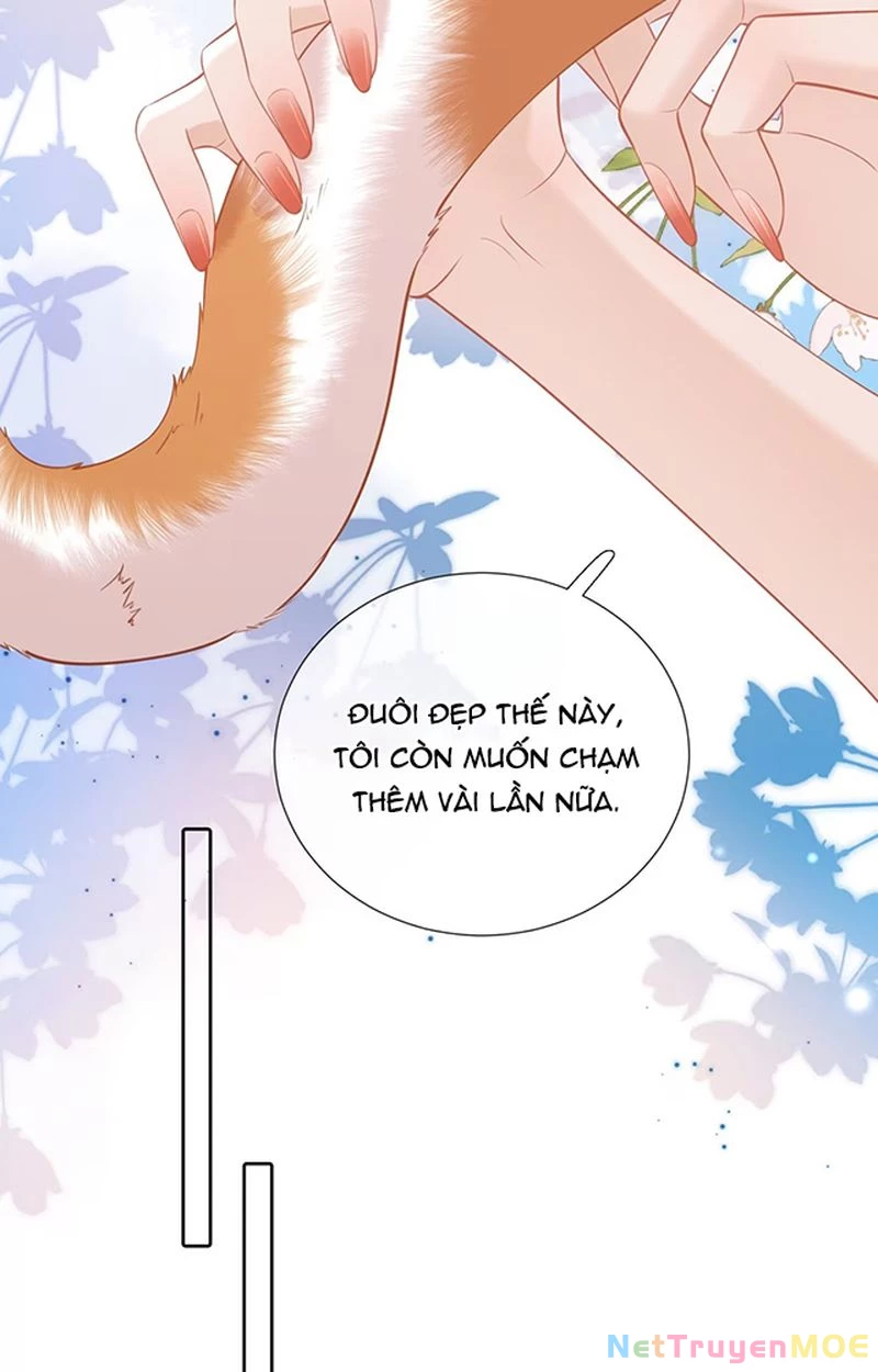 Thưa Ngài, Đuôi Của Ngài Không Giấu Được Nữa Rồi Chapter 7 - Trang 2