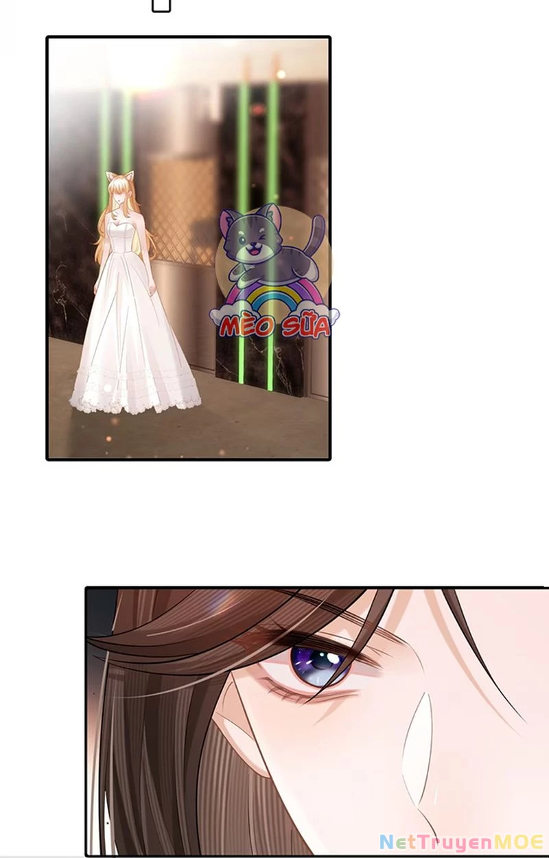 Thưa Ngài, Đuôi Của Ngài Không Giấu Được Nữa Rồi Chapter 7 - Trang 2