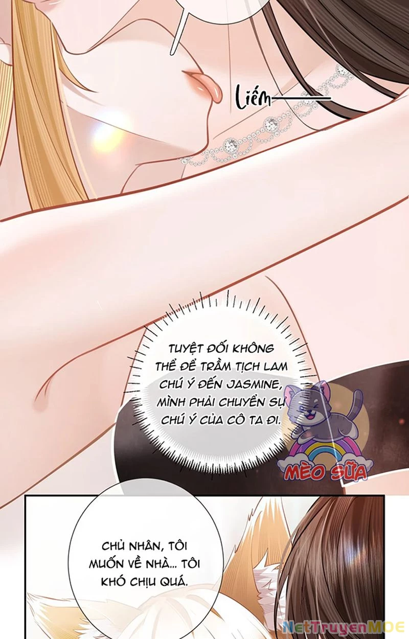 Thưa Ngài, Đuôi Của Ngài Không Giấu Được Nữa Rồi Chapter 7 - Trang 2