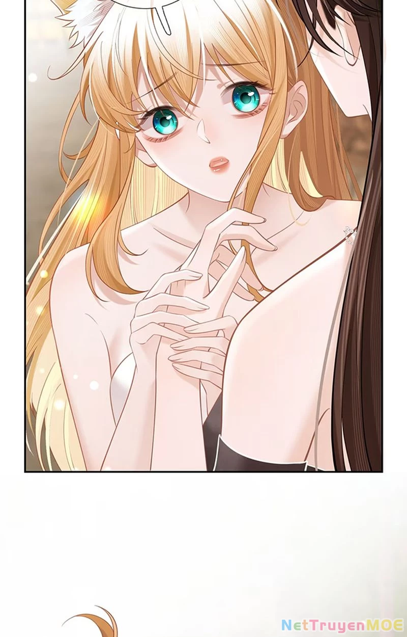 Thưa Ngài, Đuôi Của Ngài Không Giấu Được Nữa Rồi Chapter 7 - Trang 2