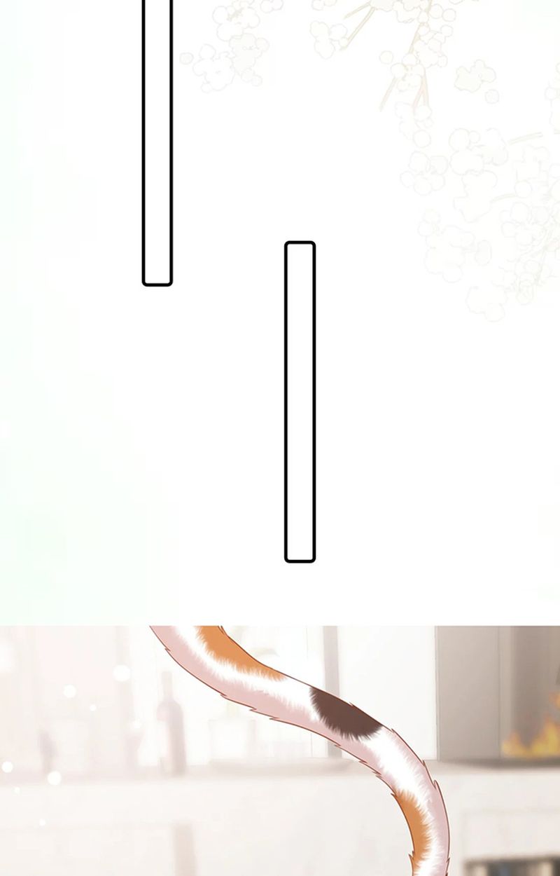 Thưa Ngài, Đuôi Của Ngài Không Giấu Được Nữa Rồi Chapter 8 - Trang 2