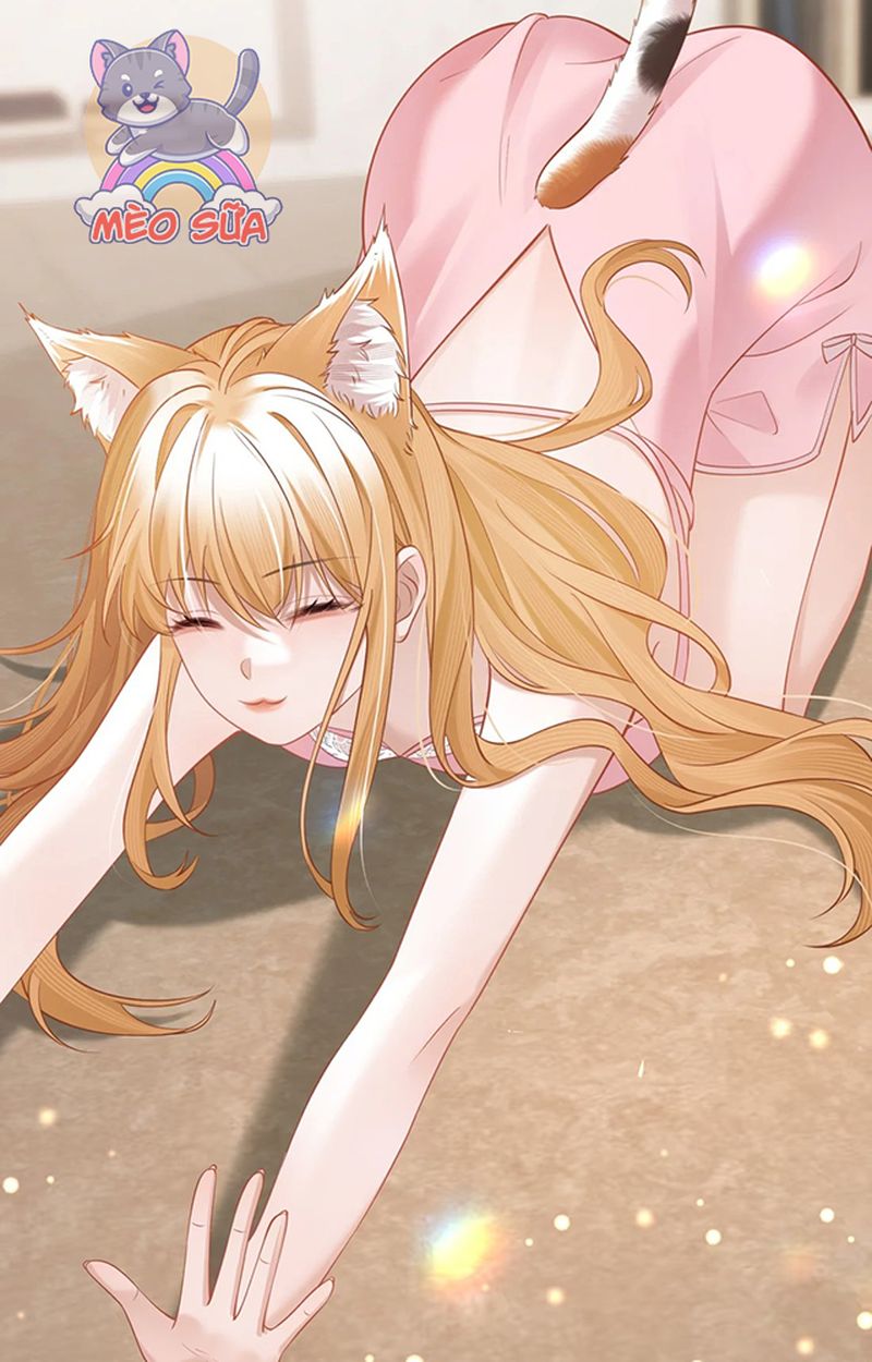 Thưa Ngài, Đuôi Của Ngài Không Giấu Được Nữa Rồi Chapter 8 - Trang 2