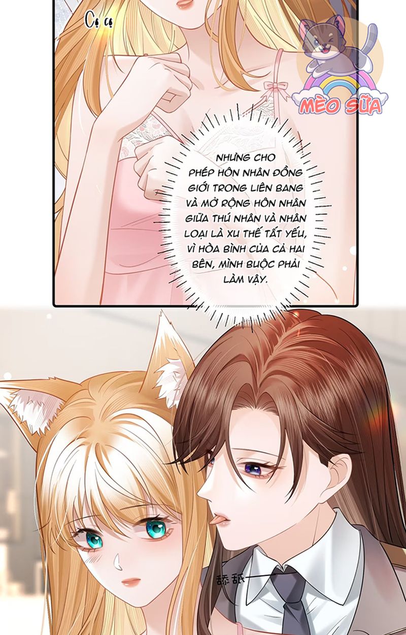 Thưa Ngài, Đuôi Của Ngài Không Giấu Được Nữa Rồi Chapter 8 - Trang 2