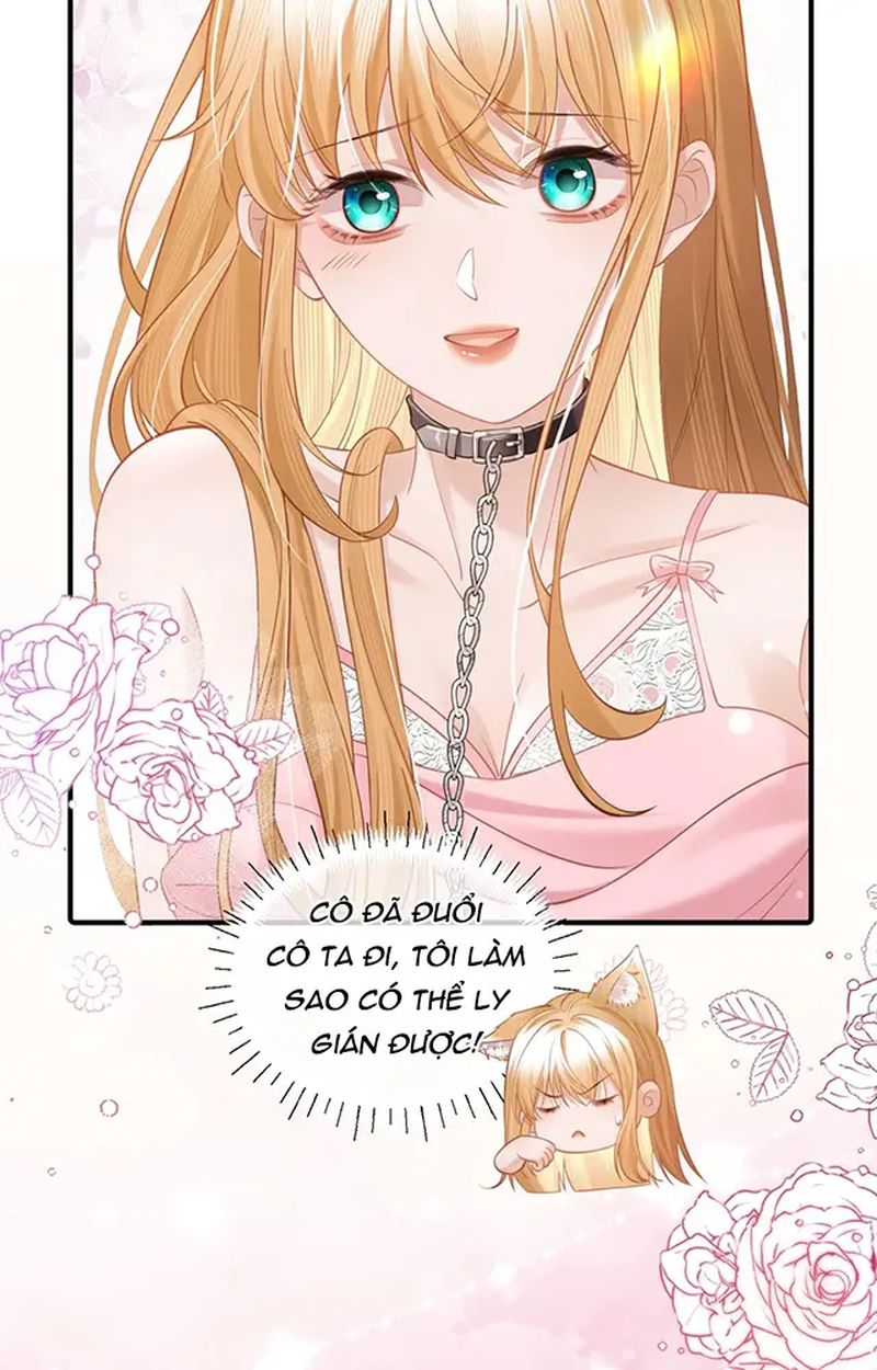 Thưa Ngài, Đuôi Của Ngài Không Giấu Được Nữa Rồi Chapter 9 - Trang 2