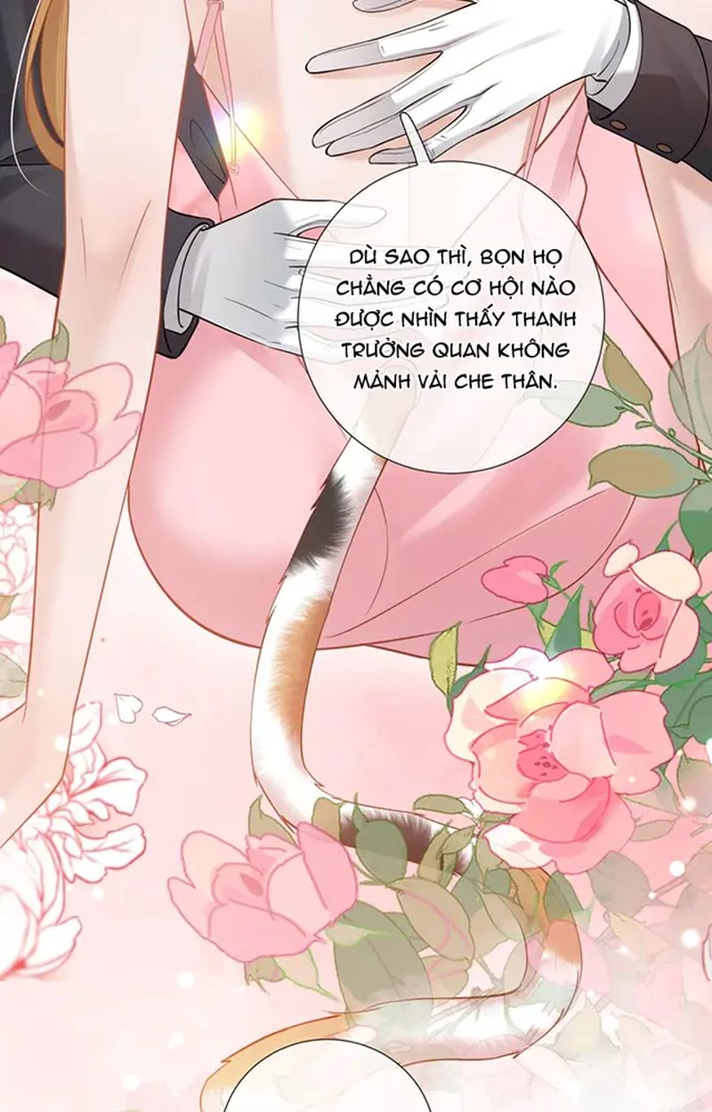 Thưa Ngài, Đuôi Của Ngài Không Giấu Được Nữa Rồi Chapter 9 - Trang 2