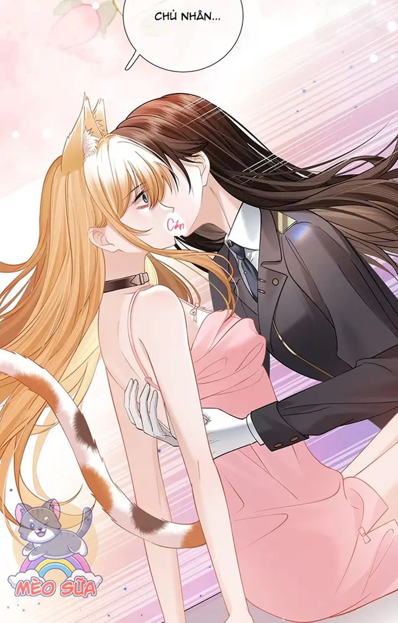 Thưa Ngài, Đuôi Của Ngài Không Giấu Được Nữa Rồi Chapter 9 - Trang 2