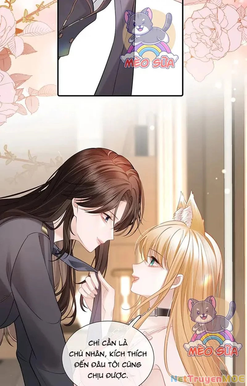 Thưa Ngài, Đuôi Của Ngài Không Giấu Được Nữa Rồi Chapter 10 - Trang 2