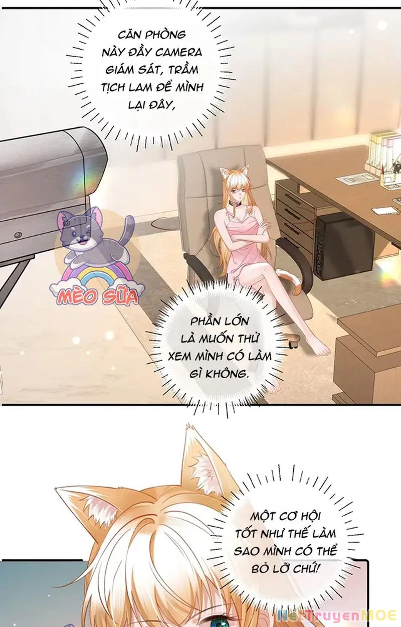 Thưa Ngài, Đuôi Của Ngài Không Giấu Được Nữa Rồi Chapter 10 - Trang 2