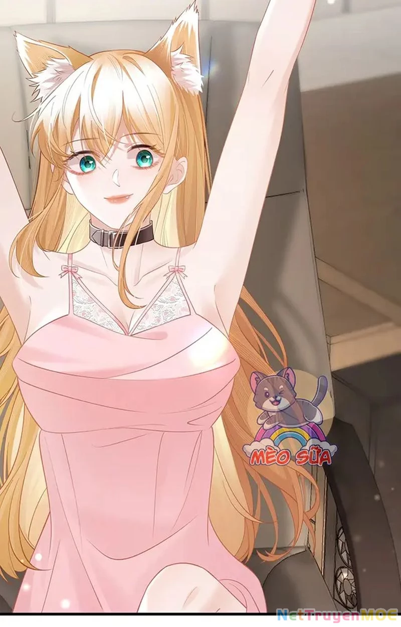 Thưa Ngài, Đuôi Của Ngài Không Giấu Được Nữa Rồi Chapter 10 - Trang 2