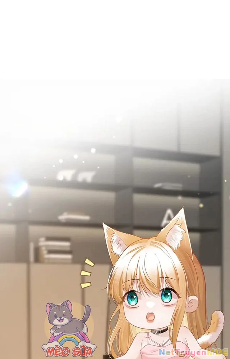 Thưa Ngài, Đuôi Của Ngài Không Giấu Được Nữa Rồi Chapter 10 - Trang 2