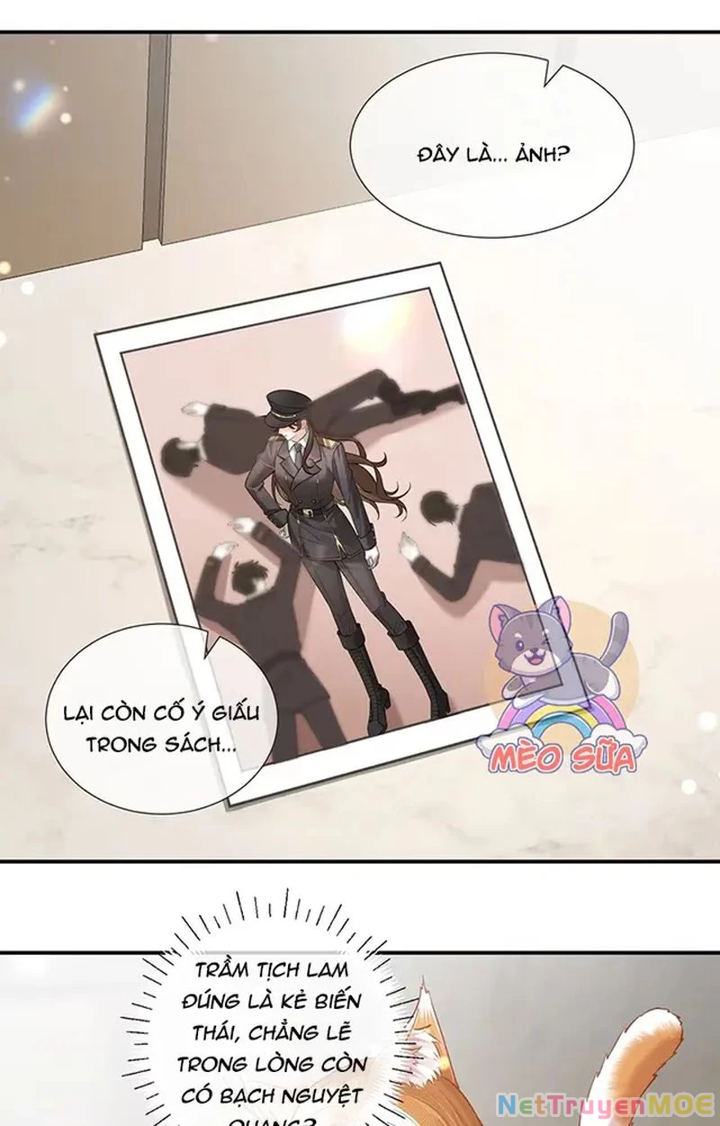 Thưa Ngài, Đuôi Của Ngài Không Giấu Được Nữa Rồi Chapter 10 - Trang 2