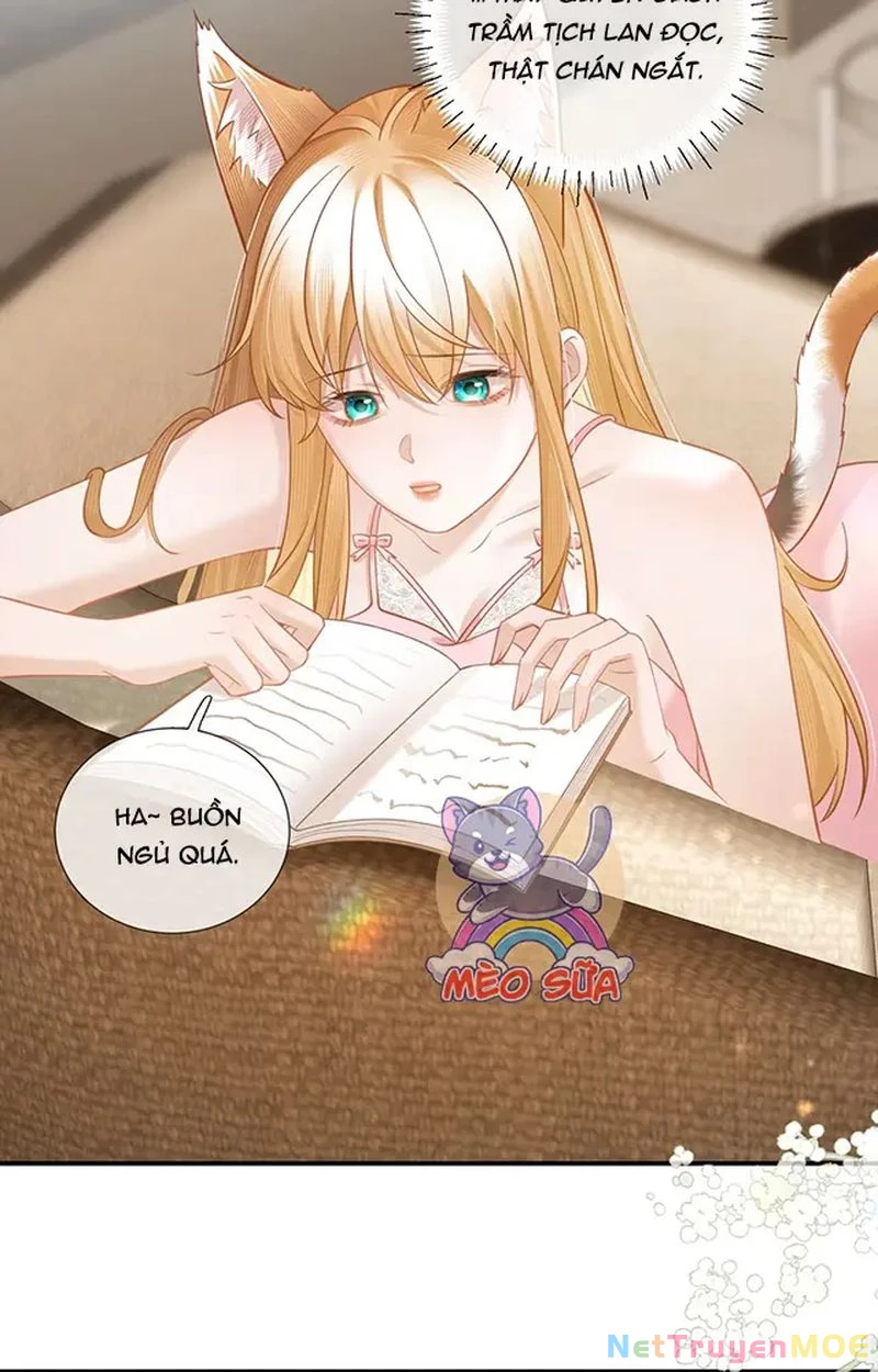 Thưa Ngài, Đuôi Của Ngài Không Giấu Được Nữa Rồi Chapter 10 - Trang 2