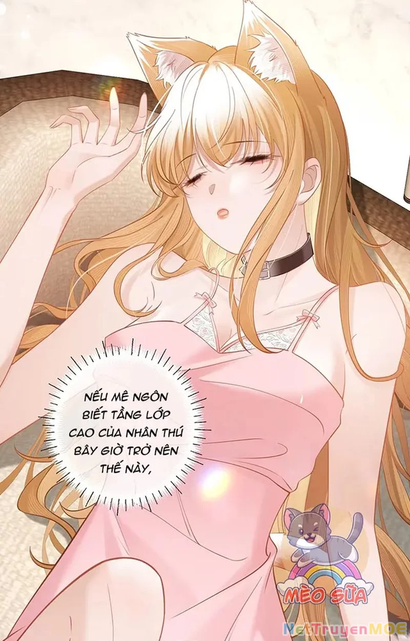 Thưa Ngài, Đuôi Của Ngài Không Giấu Được Nữa Rồi Chapter 10 - Trang 2