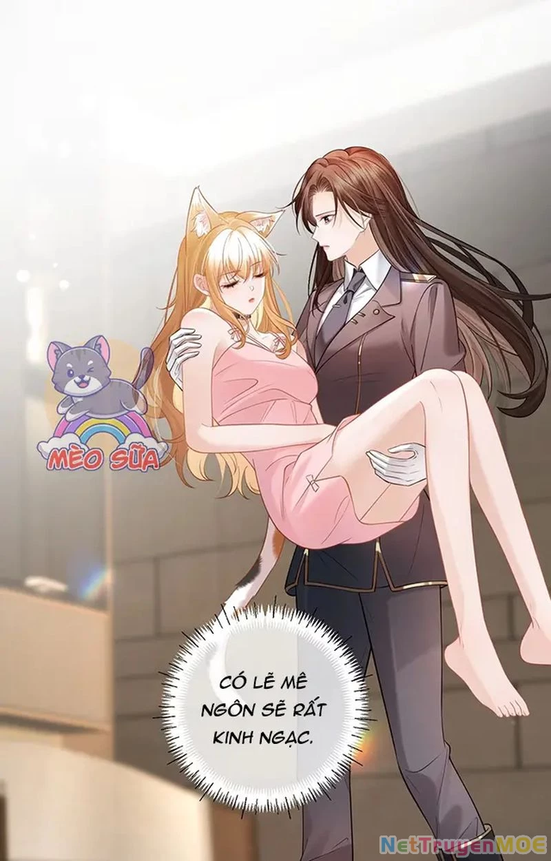 Thưa Ngài, Đuôi Của Ngài Không Giấu Được Nữa Rồi Chapter 10 - Trang 2