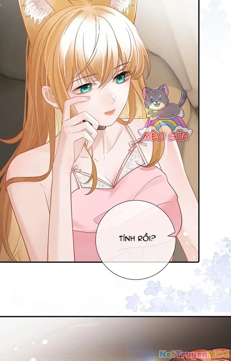 Thưa Ngài, Đuôi Của Ngài Không Giấu Được Nữa Rồi Chapter 10 - Trang 2