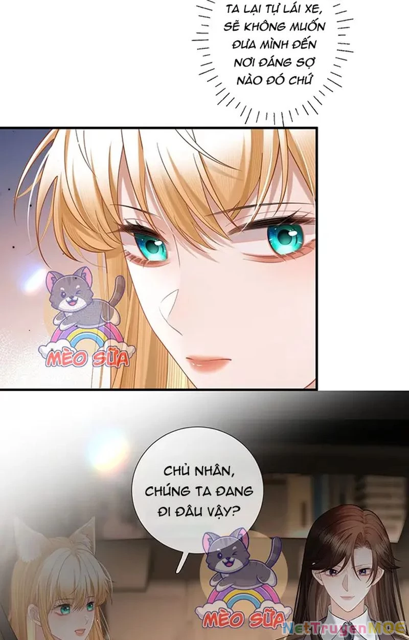 Thưa Ngài, Đuôi Của Ngài Không Giấu Được Nữa Rồi Chapter 10 - Trang 2