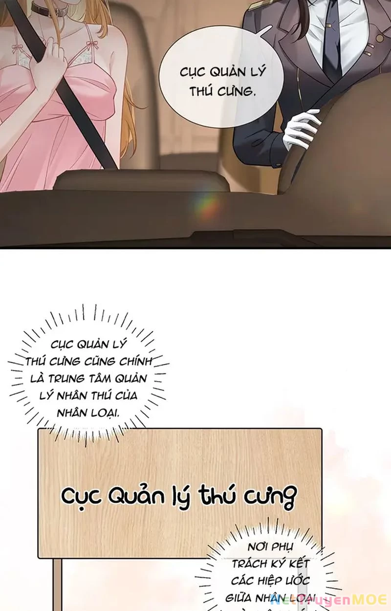 Thưa Ngài, Đuôi Của Ngài Không Giấu Được Nữa Rồi Chapter 10 - Trang 2