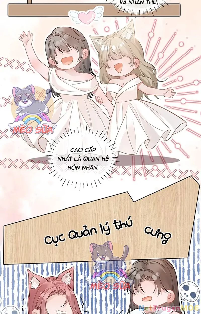 Thưa Ngài, Đuôi Của Ngài Không Giấu Được Nữa Rồi Chapter 10 - Trang 2