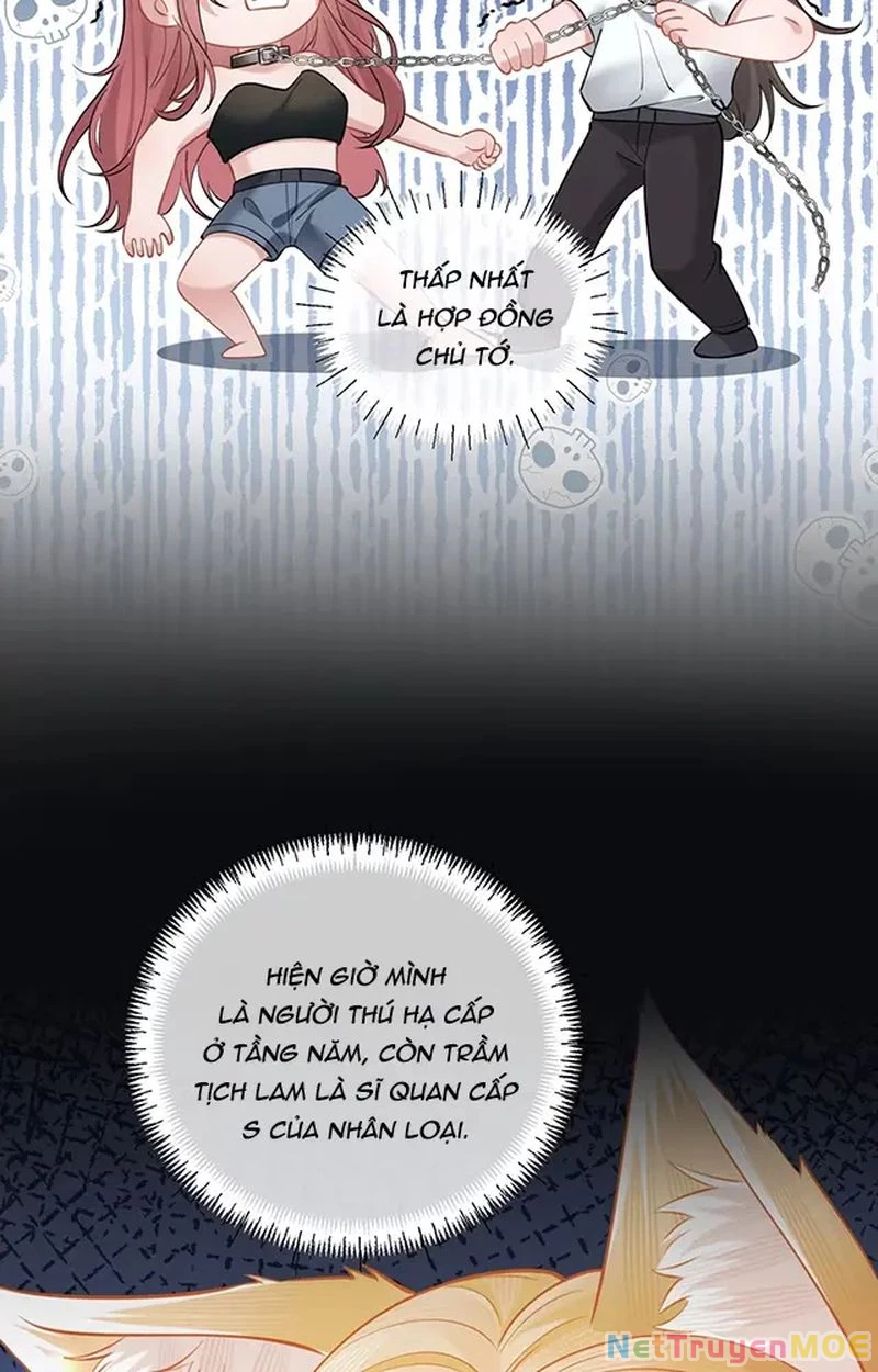 Thưa Ngài, Đuôi Của Ngài Không Giấu Được Nữa Rồi Chapter 10 - Trang 2