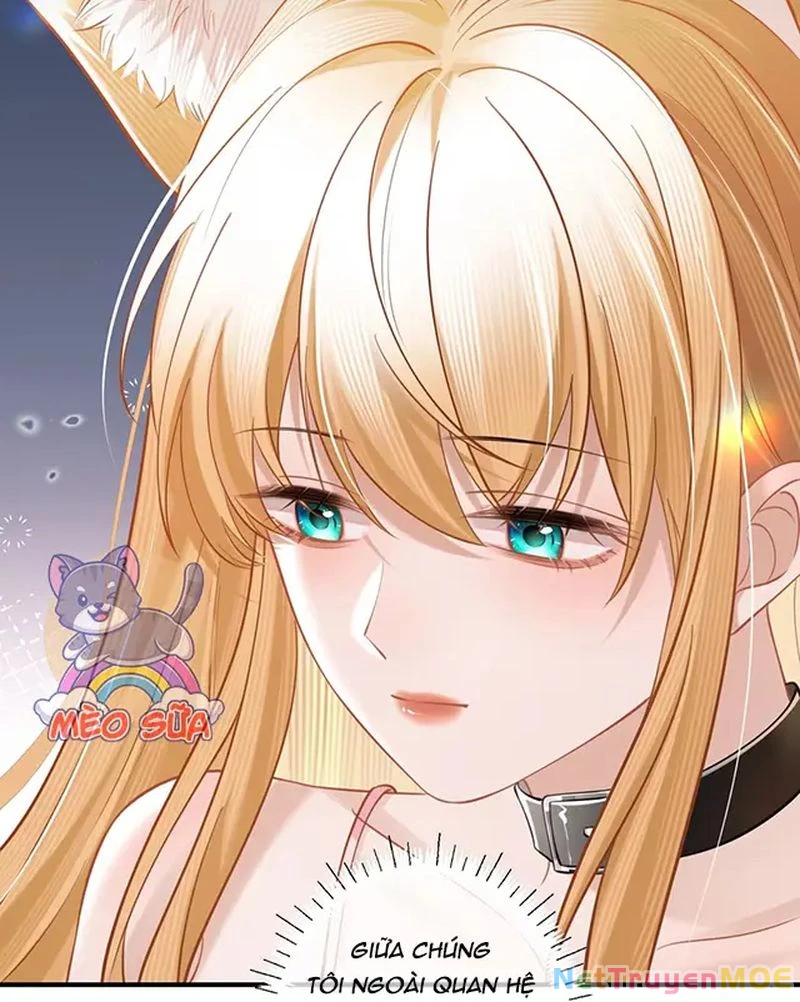 Thưa Ngài, Đuôi Của Ngài Không Giấu Được Nữa Rồi Chapter 10 - Trang 2