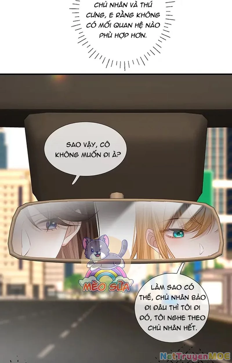 Thưa Ngài, Đuôi Của Ngài Không Giấu Được Nữa Rồi Chapter 10 - Trang 2