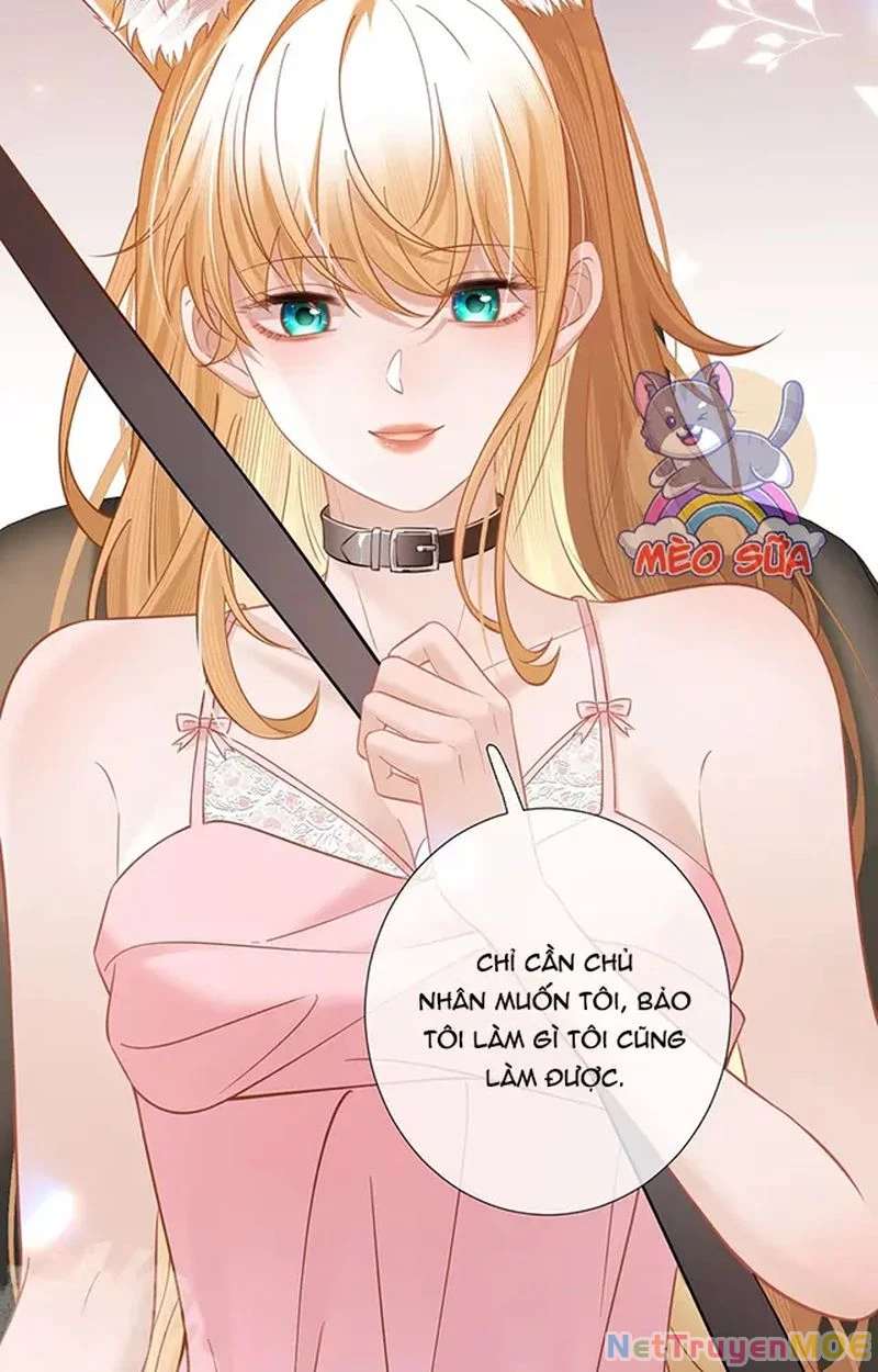 Thưa Ngài, Đuôi Của Ngài Không Giấu Được Nữa Rồi Chapter 10 - Trang 2