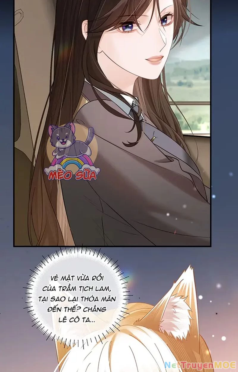 Thưa Ngài, Đuôi Của Ngài Không Giấu Được Nữa Rồi Chapter 11 - Trang 2