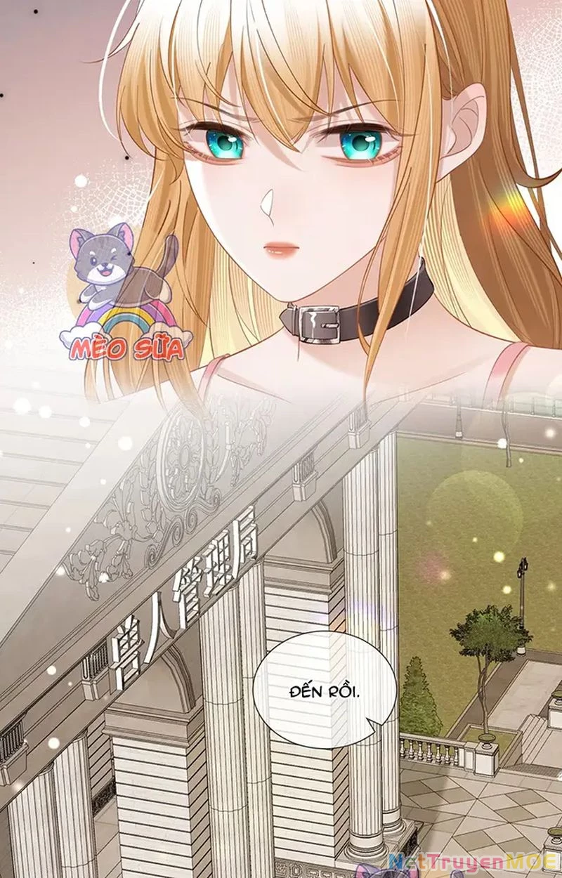 Thưa Ngài, Đuôi Của Ngài Không Giấu Được Nữa Rồi Chapter 11 - Trang 2