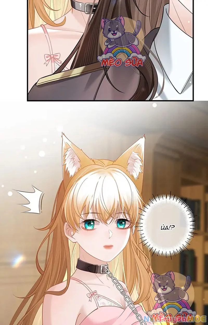 Thưa Ngài, Đuôi Của Ngài Không Giấu Được Nữa Rồi Chapter 11 - Trang 2