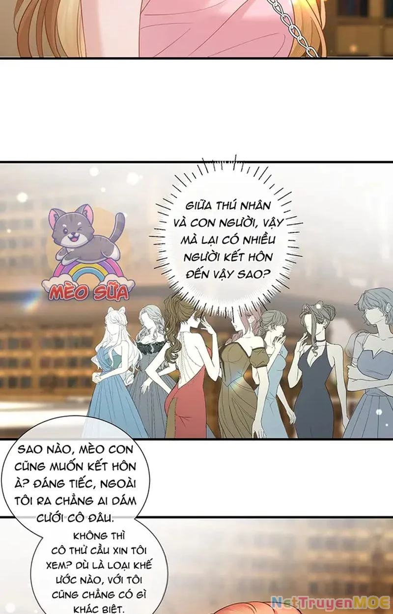 Thưa Ngài, Đuôi Của Ngài Không Giấu Được Nữa Rồi Chapter 11 - Trang 2