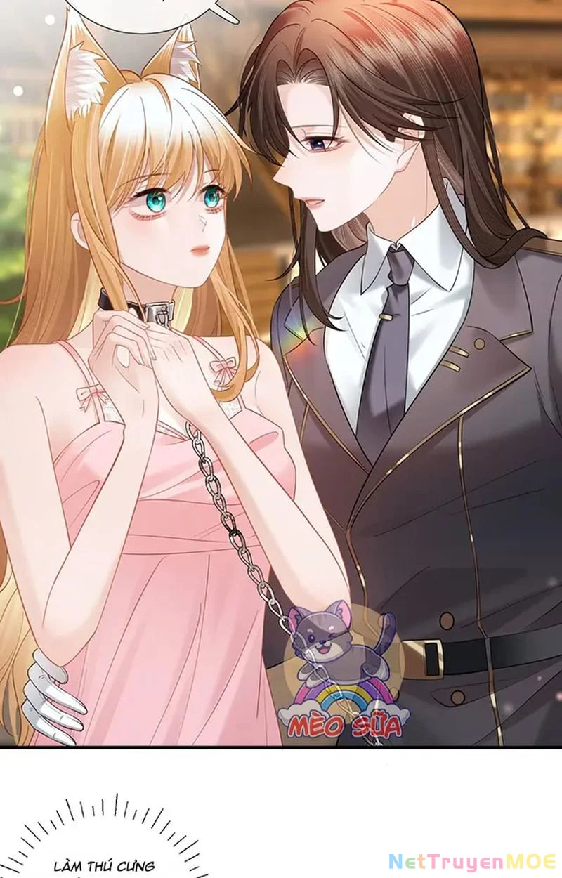 Thưa Ngài, Đuôi Của Ngài Không Giấu Được Nữa Rồi Chapter 11 - Trang 2