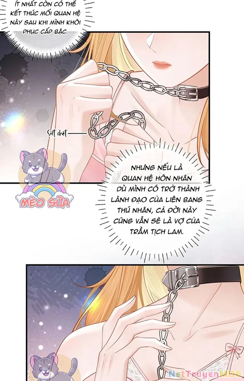 Thưa Ngài, Đuôi Của Ngài Không Giấu Được Nữa Rồi Chapter 11 - Trang 2