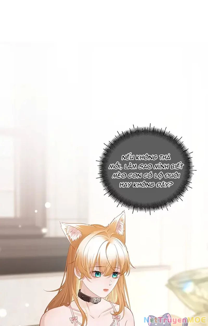 Thưa Ngài, Đuôi Của Ngài Không Giấu Được Nữa Rồi Chapter 11 - Trang 2