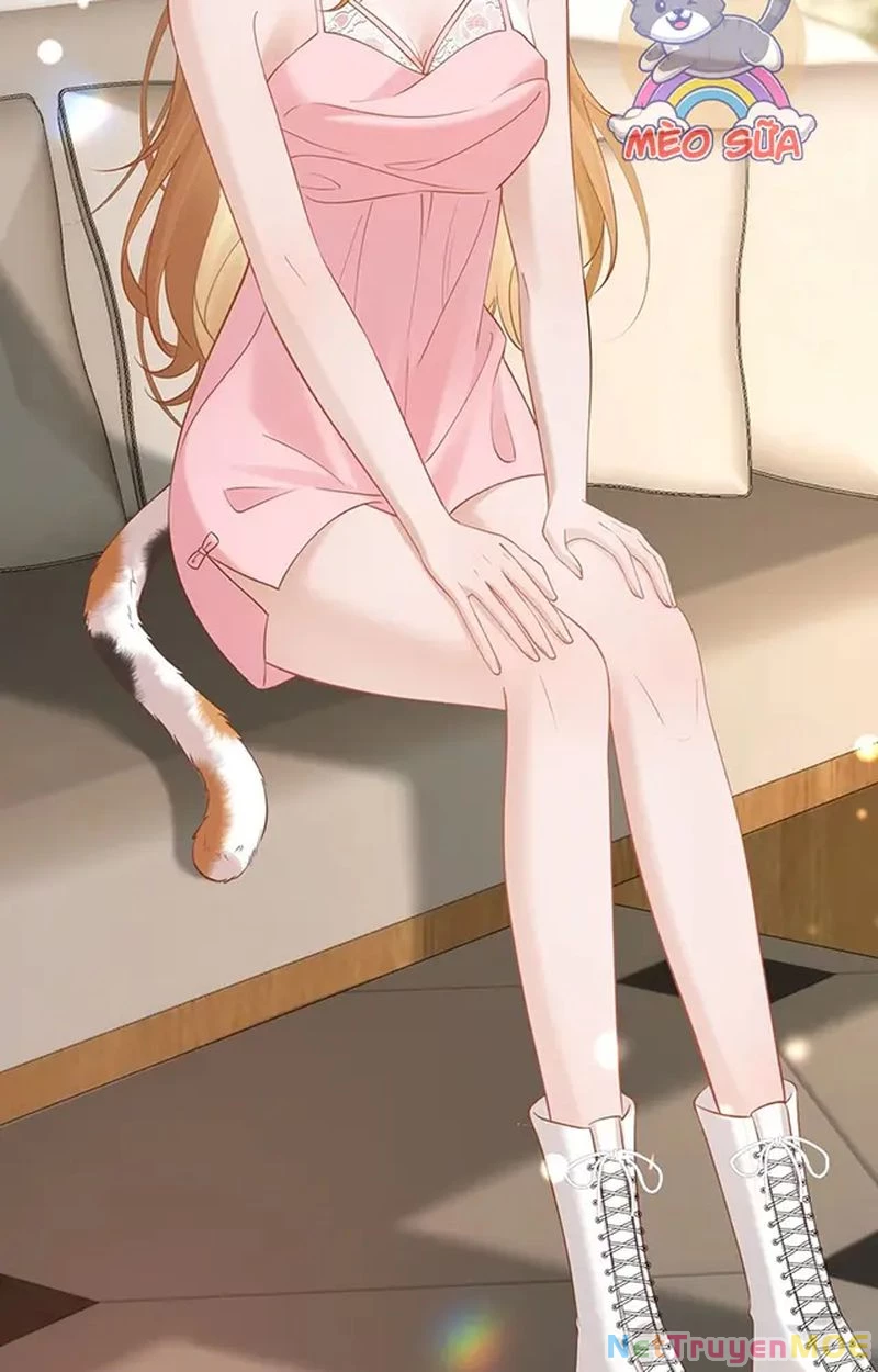 Thưa Ngài, Đuôi Của Ngài Không Giấu Được Nữa Rồi Chapter 11 - Trang 2